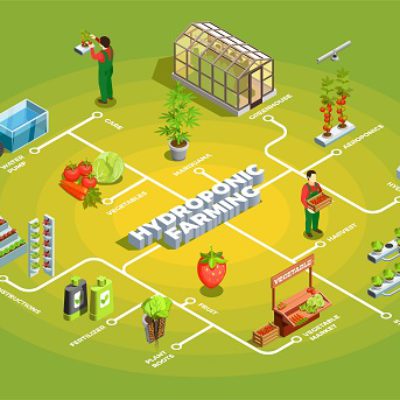 Hydroponic,Farming,Isometric,Flowchart,With,Staff,And,Elements,Of,Orangery