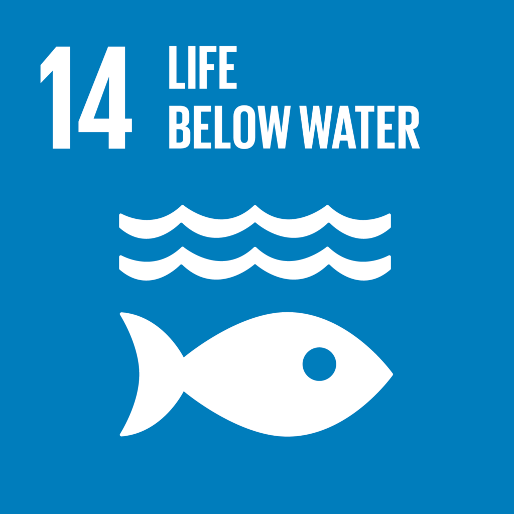 海の豊かさを守ろう SDG14